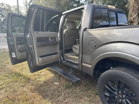 2010 Ford F-150 Platinum