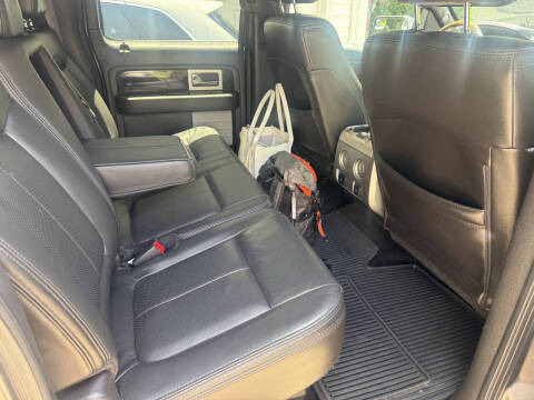 2013 Ford F-150 Platinum