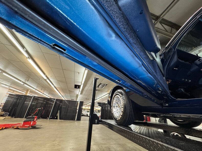 1981 Pontiac Firebird Trans Am