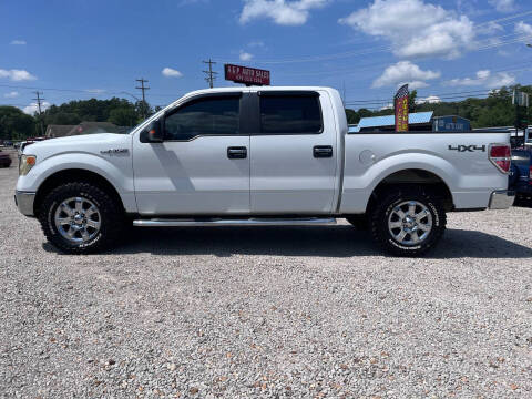 2011 Ford F-150 for sale at A&P Auto Sales in Van Buren AR