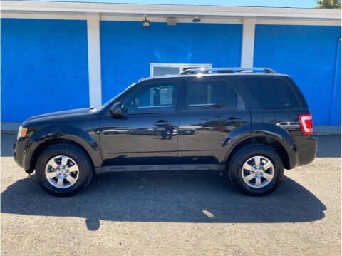 2011 Ford Escape for sale at Khodas Cars in Gilroy CA