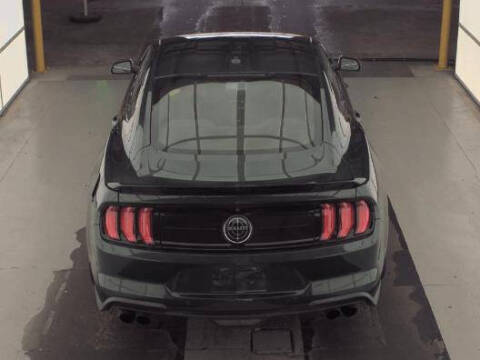 2019 Ford Mustang BULLITT