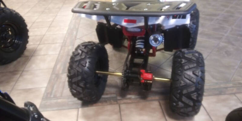 2020 Ace Powersports Inc T125