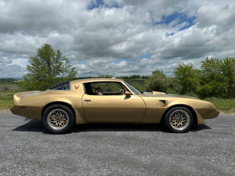 1979 Pontiac Firebird Trans Am