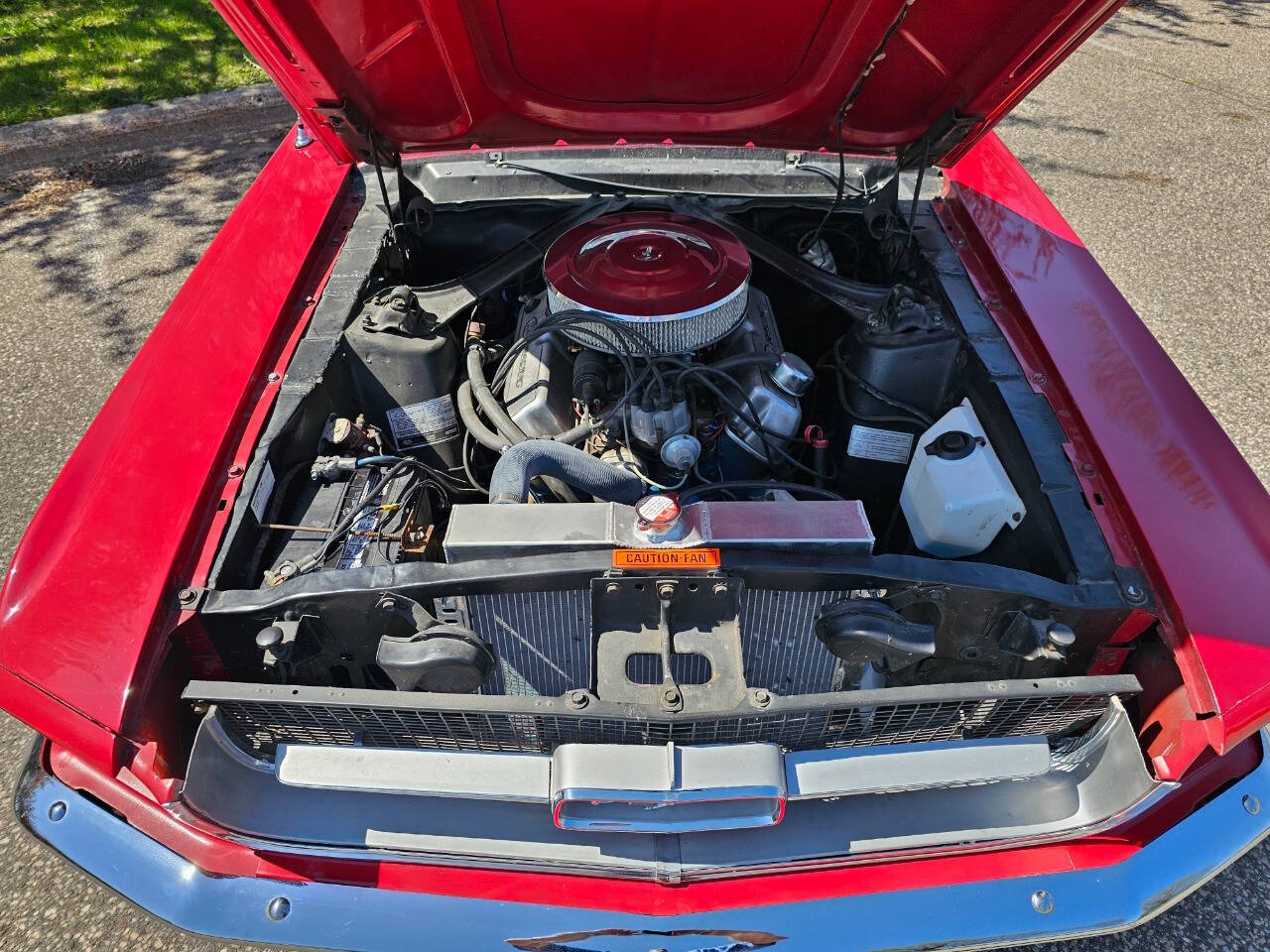 1968 Ford Mustang 239