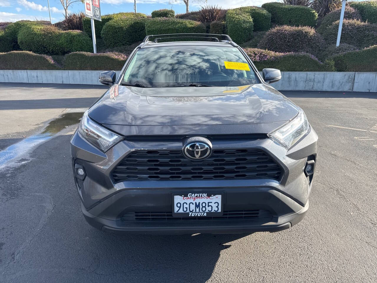 2023 Toyota RAV4 for sale at Envision Toyota of Milpitas in Milpitas, CA