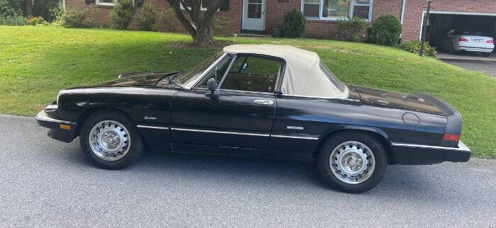 1987 Alfa Romeo Graduate Spider