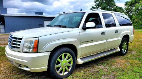 2005 Cadillac Escalade ESV for sale at GOLDEN RULE AUTO in Newark OH