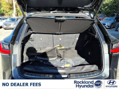 2023 Lexus NX 350 Premium