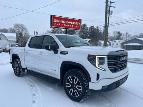 2023 GMC Sierra 1500 for sale at SPINNEWEBER AUTO SALES INC in Butler PA
