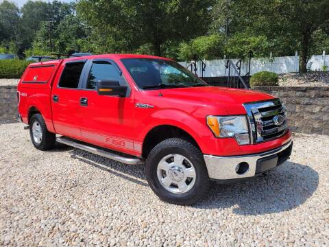 2012 Ford F-150 for sale at EAST PENN AUTO SALES in Pen Argyl PA
