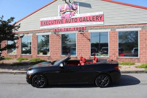 2017 BMW 2 Series for sale at EXECUTIVE AUTO GALLERY INC in Walnutport PA