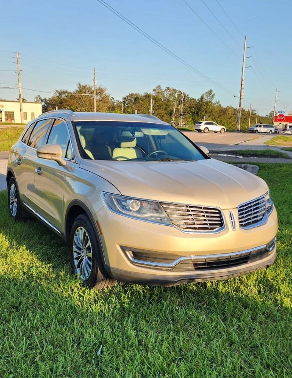 2017 Lincoln MKX for sale at MIA AUTO, LLC in Pinellas Park, FL