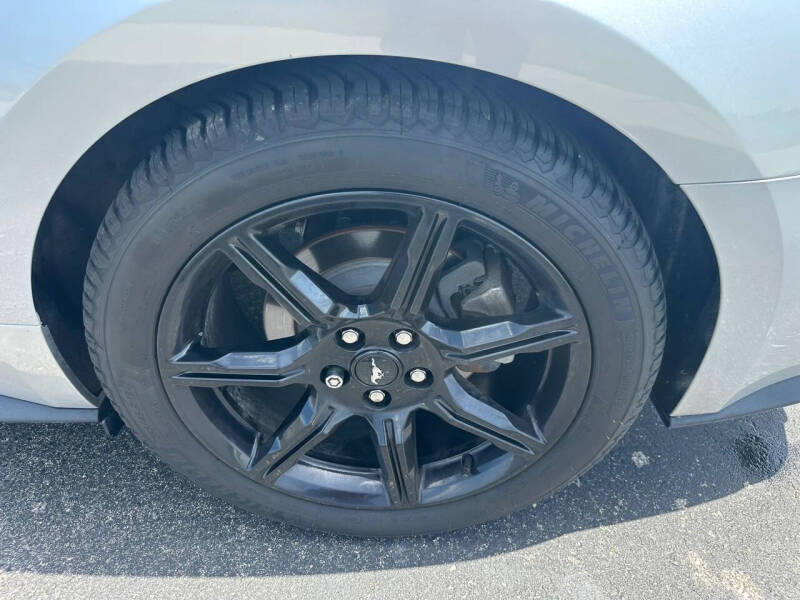 2019 Ford Mustang