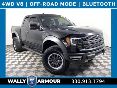 2010 Ford F-150 for sale at Wally Armour Chrysler Dodge Jeep Ram in Alliance OH