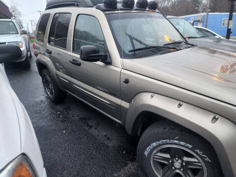 2003 Jeep Liberty for sale at Maximum Auto Group II INC in Cortland OH