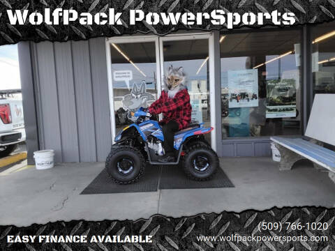 2025 Denago MUDHAWK  10FI ATV for sale at WolfPack PowerSports in Moses Lake WA