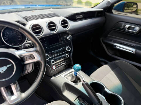 2019 Ford Mustang