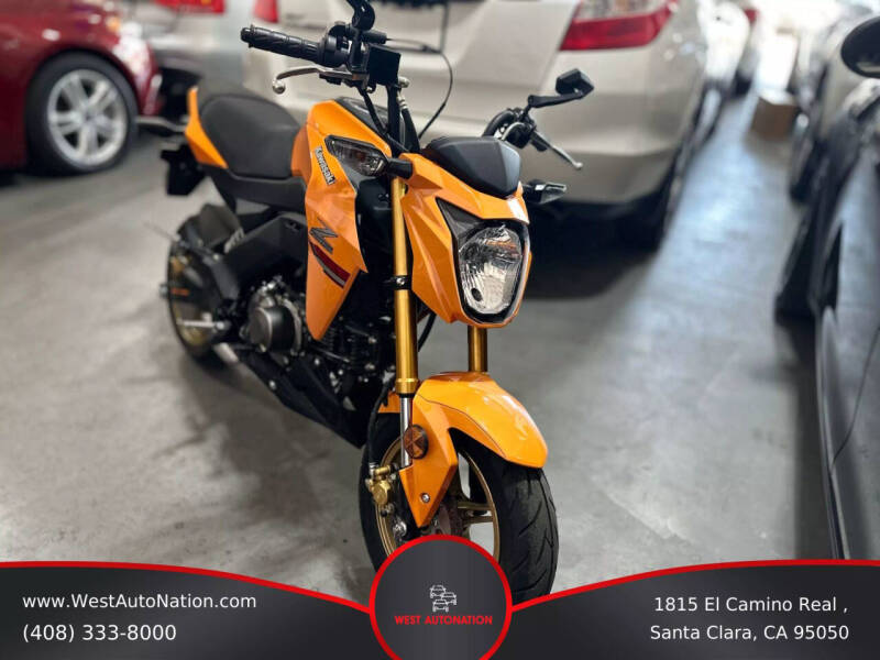 2023 Kawasaki Z125 Pro