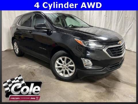 2019 Chevrolet Equinox for sale at COLE Automotive in Kalamazoo MI