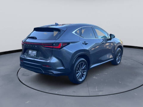 2024 Lexus NX 250
