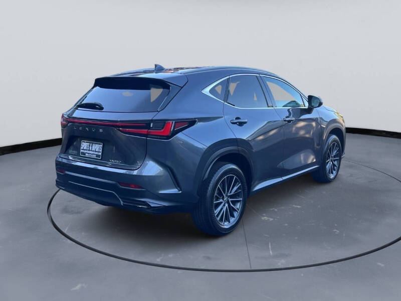 2024 Lexus NX 250