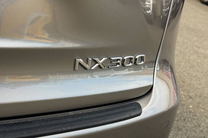 2020 Lexus NX 300 F SPORT