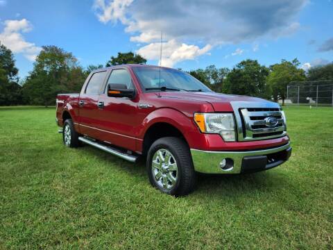 2014 Ford F-150 for sale at York Motor Company in York SC