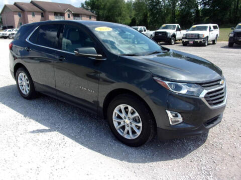 2019 Chevrolet Equinox for sale at BABCOCK MOTORS INC in Orleans IN