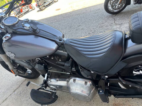 2014 Harley-Davidson FLS103 -