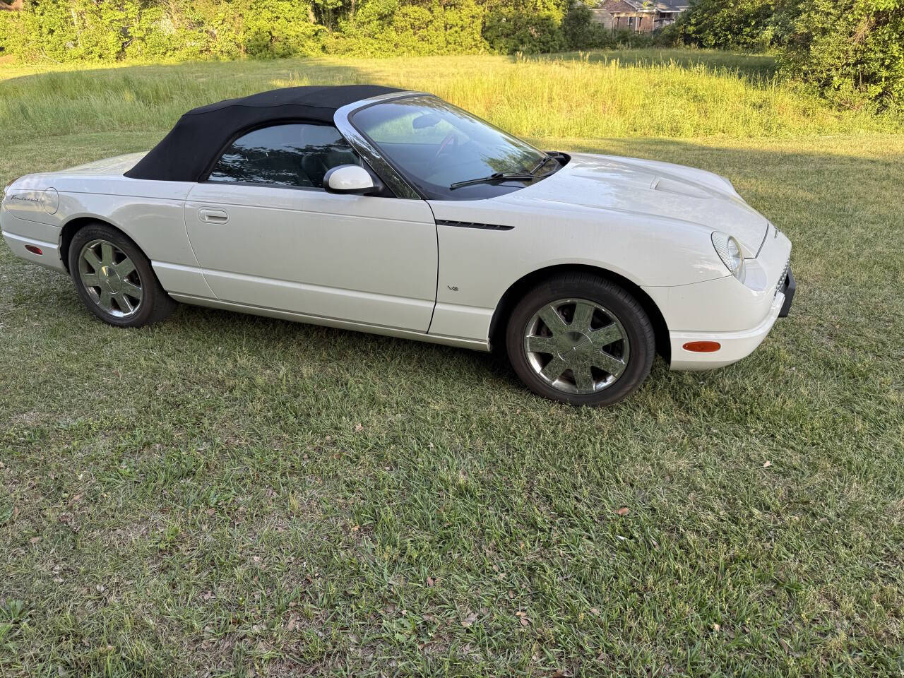 White 2003 Ford Thunderbird Premium Convertible Premium 2dr Convertible 1