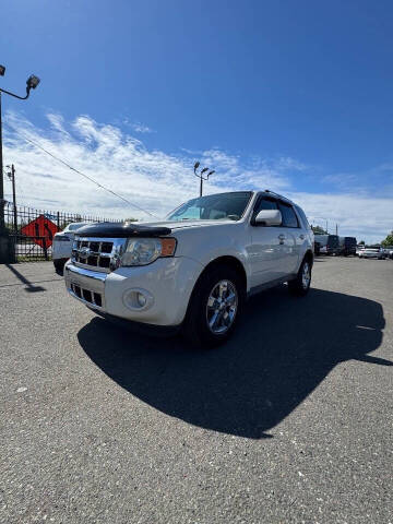 2010 Ford Escape Limited