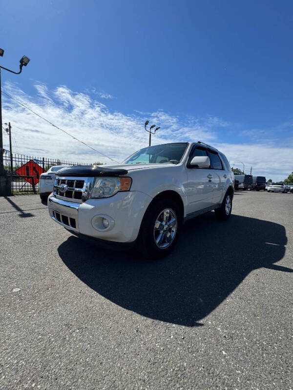 2010 Ford Escape Limited