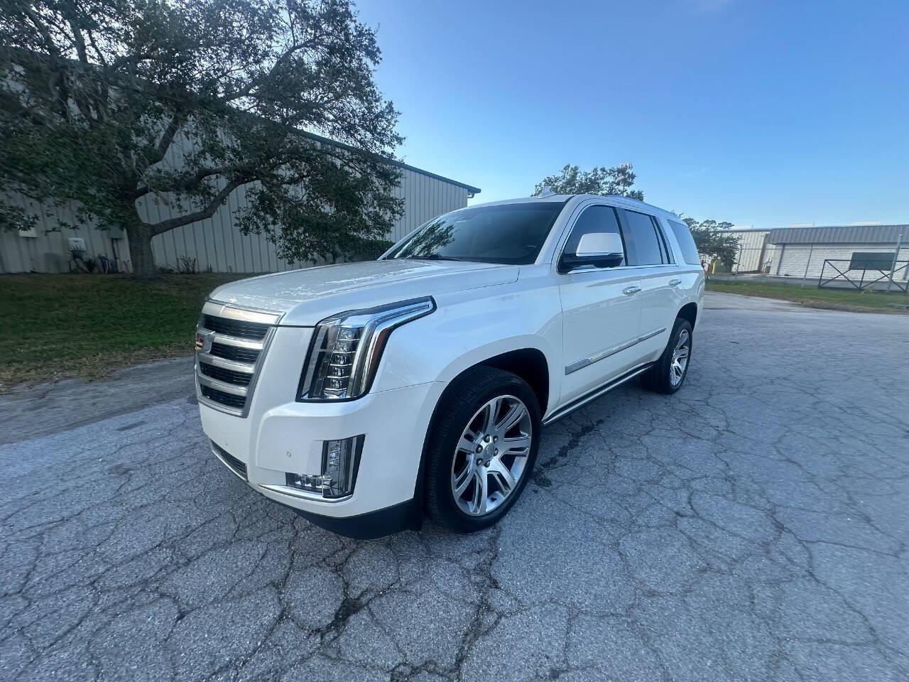 2015 Cadillac Escalade for sale at Rubi Motorsports in Sarasota, FL