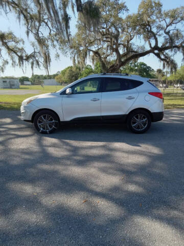 2014 Hyundai Tucson for sale at Gas Buggies in Labelle FL