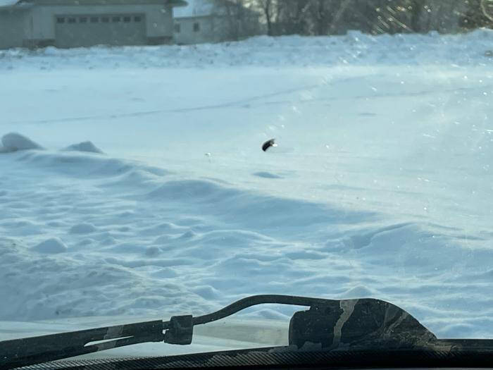 2003 Buick LeSabre Custom