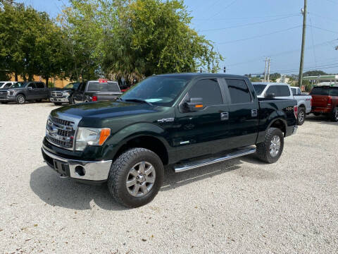 2014 Ford F-150 for sale at Billy Ballew Motorsports LLC in Daytona Beach FL
