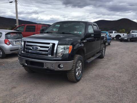 2012 Ford F-150 for sale at Troy's Auto Sales in Dornsife PA