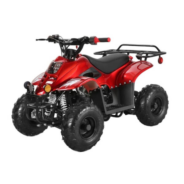2025 Coolster 110cc 3050c for sale at Toy Barn Motors - ATV'S in New York Mills MN