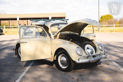 1965 Volkswagen Beetle