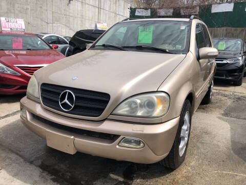 2002 Mercedes-Benz M-Class ML 320