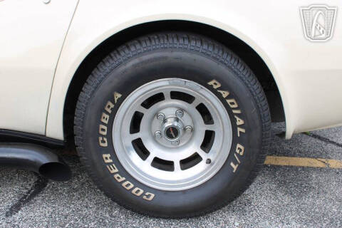 1981 Chevrolet Corvette