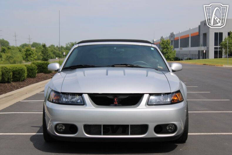 2003 Ford Mustang SVT Cobra