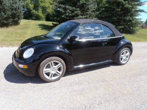 2004 Volkswagen New Beetle Convertible for sale at A-Auto Luxury Motorsports in Milwaukee WI