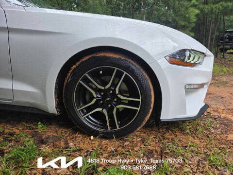 2019 Ford Mustang EcoBoost