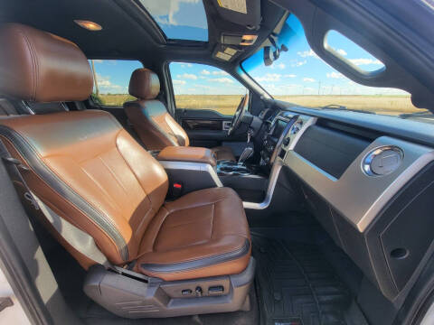 2014 Ford F-150 Platinum