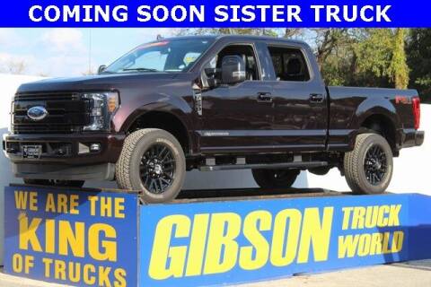 2019 Ford F-250 Super Duty for sale at Gibson Truck World in Sanford FL