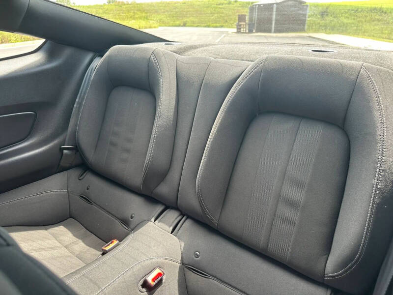 2019 Ford Mustang