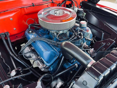 1965 Ford F-100