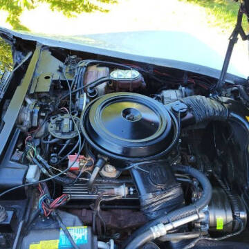 1981 Chevrolet Corvette